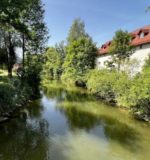 IMG_0006