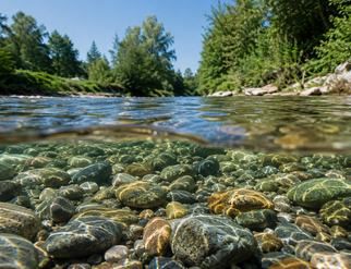Kiesbett der Argen unter der Wasseroberfläche