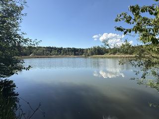 hammerweiher_2