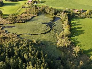 Herzogenweiher – Luftaufnahme mit Seerosenfeldern, Wald und Wiesen