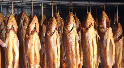 smoked-fish-411485_1920